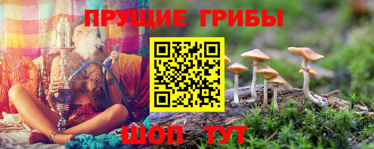 Лянтор  купить закладку  Вход с VPN  Галлюциногенные грибы мухоморы 